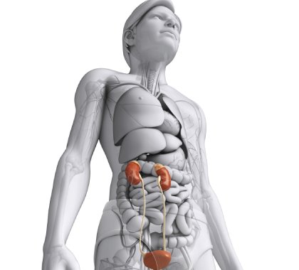Kidney disorders